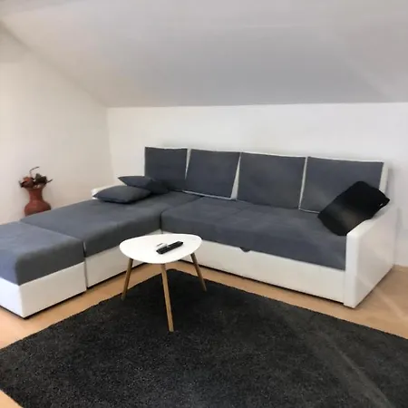 Habibi With Big Garden And Free Parking Willa Sarajewo